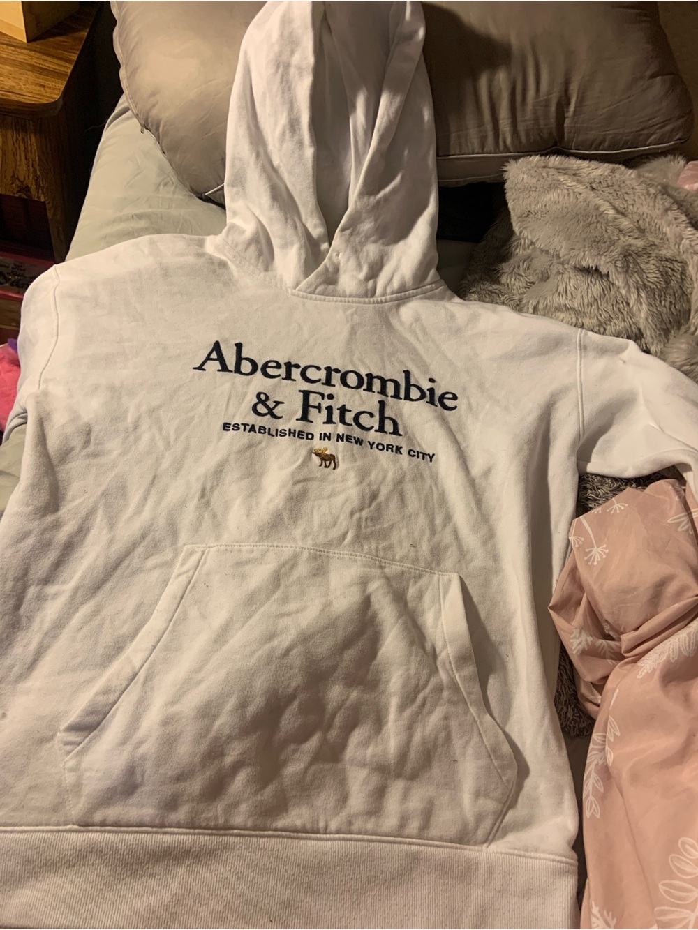 Abercrombie & Fitch Classic Graphic Logo Pullover Hoodie - medium